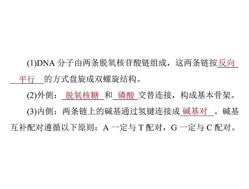 2022年《南方新课堂 高考总复习》生物 必修2 第3章 第2、3、4节 DNA分子的结构、DNA的复制及基因是有遗传效应的DNA片段课件第4页