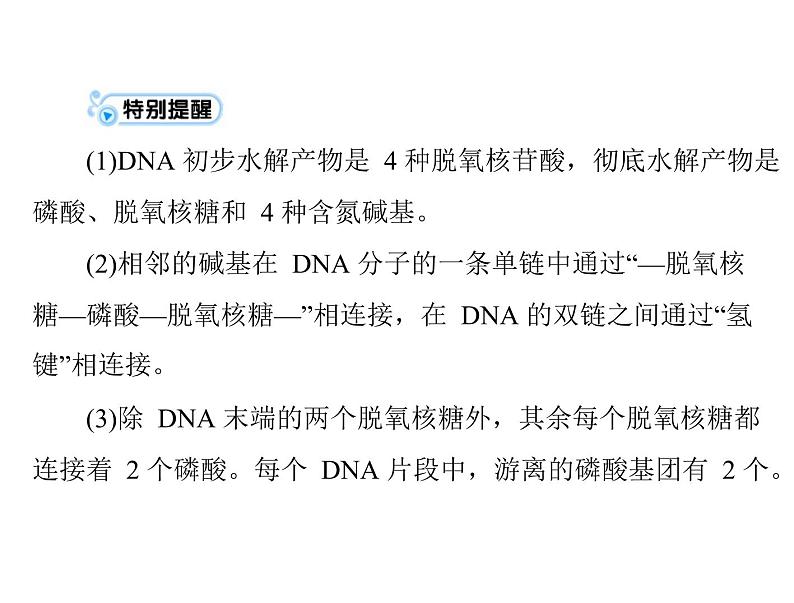 2022年《南方新课堂 高考总复习》生物 必修2 第3章 第2、3、4节 DNA分子的结构、DNA的复制及基因是有遗传效应的DNA片段课件第5页