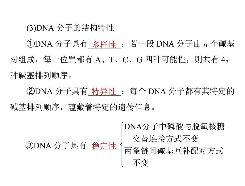 2022年《南方新课堂 高考总复习》生物 必修2 第3章 第2、3、4节 DNA分子的结构、DNA的复制及基因是有遗传效应的DNA片段课件第8页