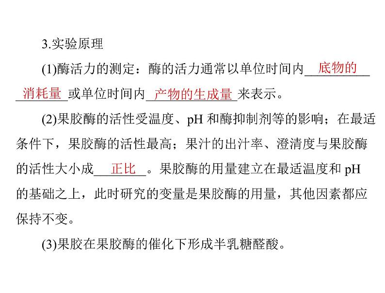 2022年《南方新课堂 高考总复习》生物 选修1 专题3 酶的研究与应用课件06