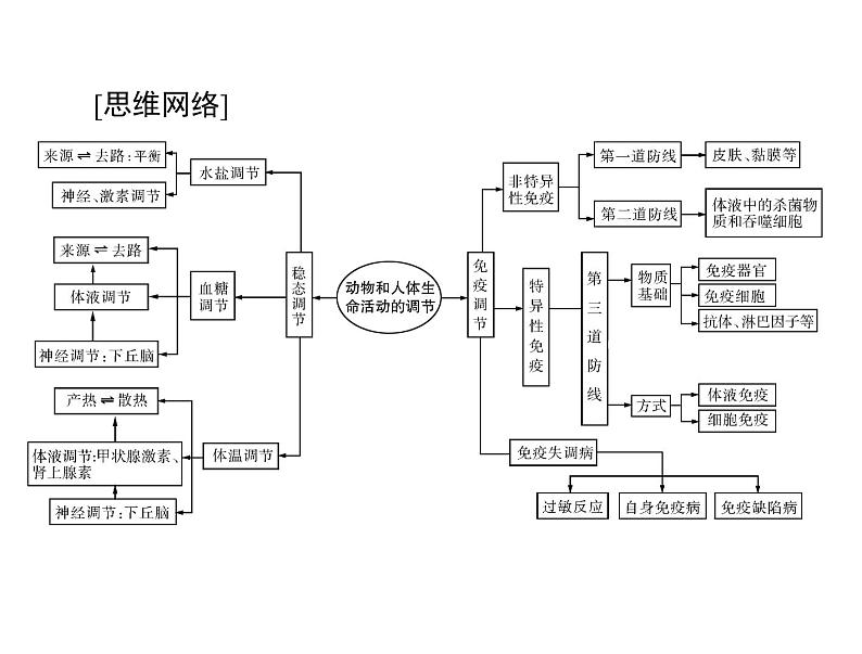 2022年《南方新课堂 高考总复习》生物 必修3 第2章 第1节 通过神经系统的调节课件第3页