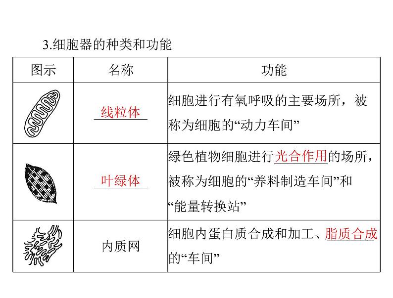 2022年《南方新课堂 高考总复习》生物 必修1 第3章 第2节 细胞器——系统内的分工合作课件03