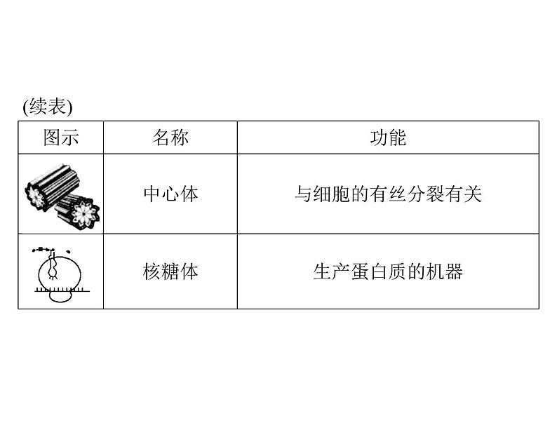 2022年《南方新课堂 高考总复习》生物 必修1 第3章 第2节 细胞器——系统内的分工合作课件05