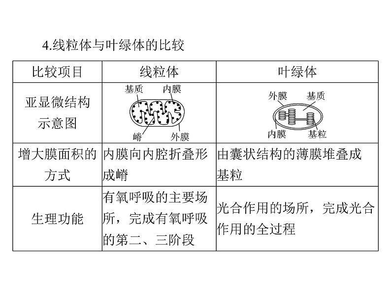 2022年《南方新课堂 高考总复习》生物 必修1 第3章 第2节 细胞器——系统内的分工合作课件07