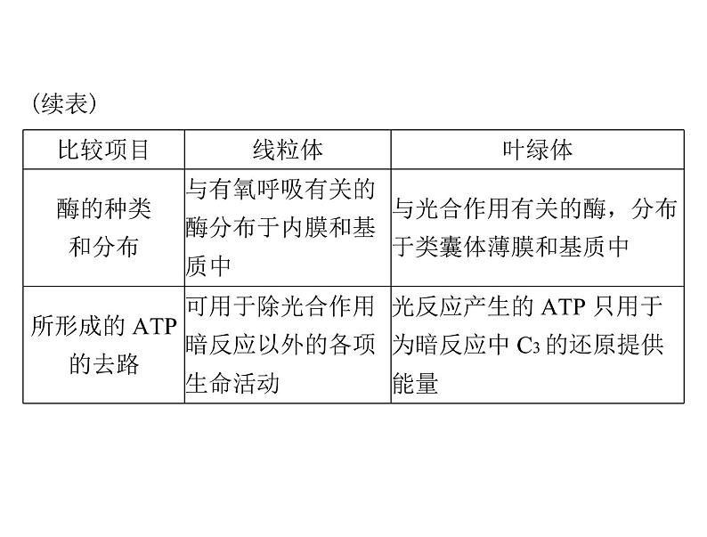 2022年《南方新课堂 高考总复习》生物 必修1 第3章 第2节 细胞器——系统内的分工合作课件08