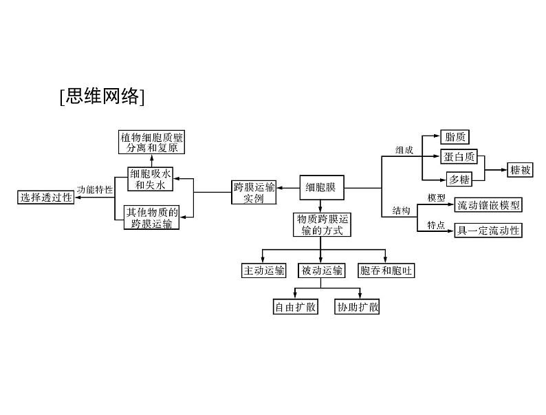 2022年《南方新课堂 高考总复习》生物 必修1 第4章 第1、2、3节 物质跨膜运输的实例和方式、生物膜的流动镶嵌模型课件第3页