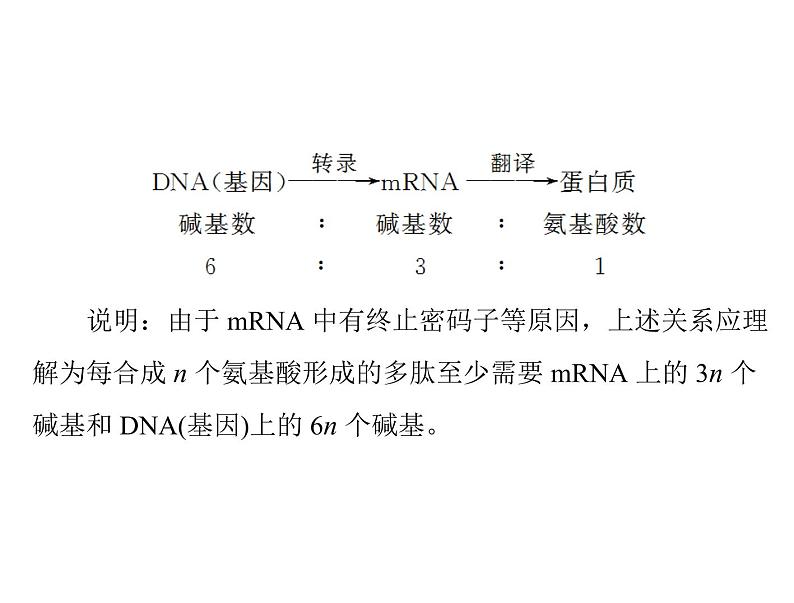 2022年《南方新课堂 高考总复习》生物 必修1 小专题一 四大有机物的综合考查课件第3页