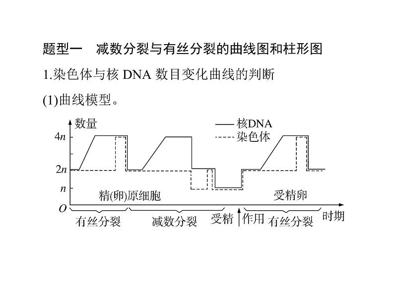 2022年《南方新课堂 高考总复习》生物 必修2 小专题五 减数分裂和有丝分裂题型突破课件第2页