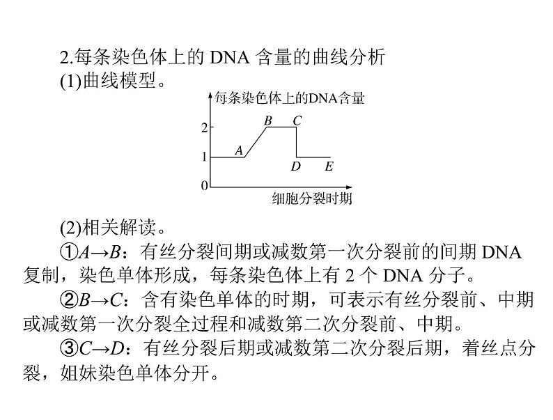 2022年《南方新课堂 高考总复习》生物 必修2 小专题五 减数分裂和有丝分裂题型突破课件第5页