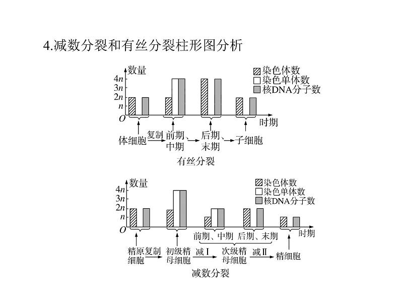 2022年《南方新课堂 高考总复习》生物 必修2 小专题五 减数分裂和有丝分裂题型突破课件第8页