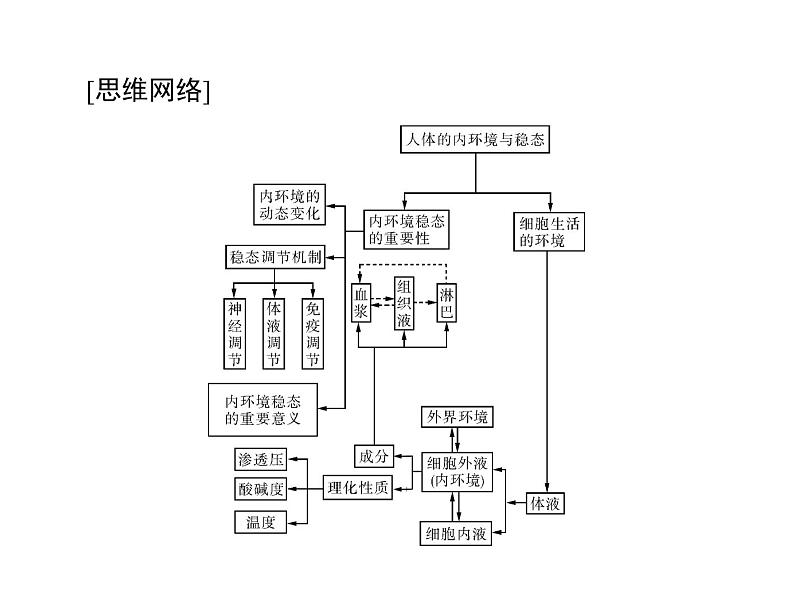 2022年《南方新课堂 高考总复习》生物 必修3 第1章 第1、2节 细胞生活的环境、内环境稳态的重要性课件第3页