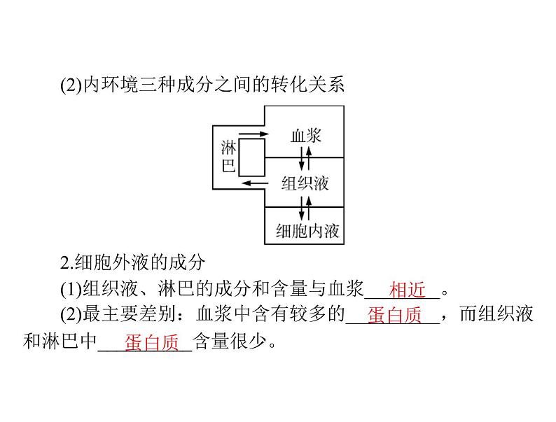 2022年《南方新课堂 高考总复习》生物 必修3 第1章 第1、2节 细胞生活的环境、内环境稳态的重要性课件第6页