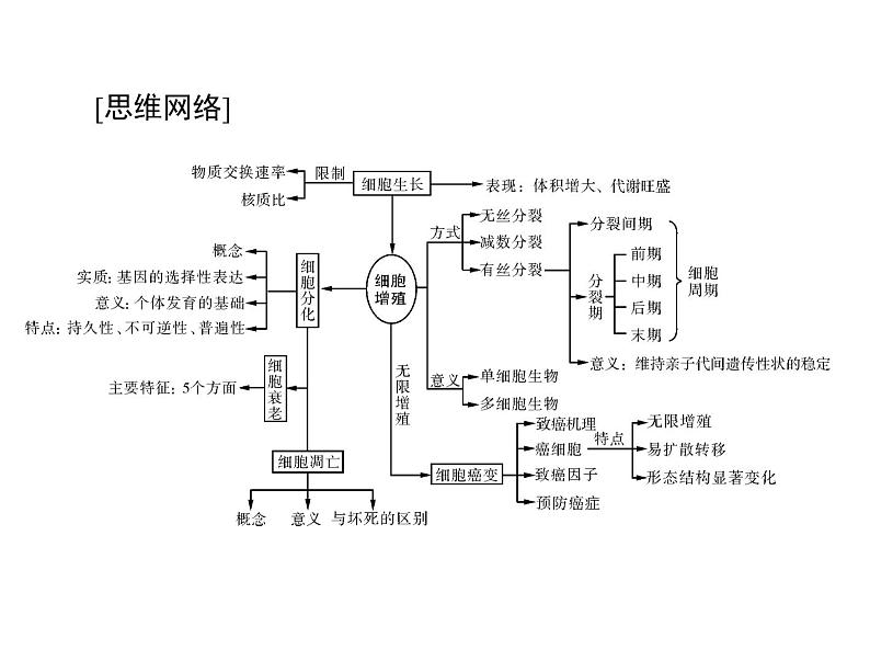 2022年《南方新课堂 高考总复习》生物 必修1 第6章 第1节 细胞的增殖课件03