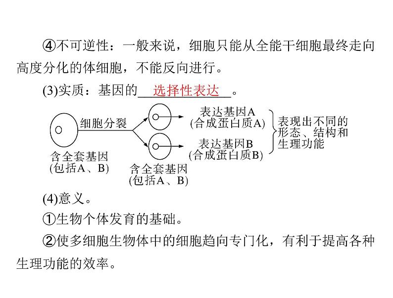 2022年《南方新课堂 高考总复习》生物 必修1 第6章 第2、3、4节 细胞的分化、衰老、凋亡和癌变课件第3页