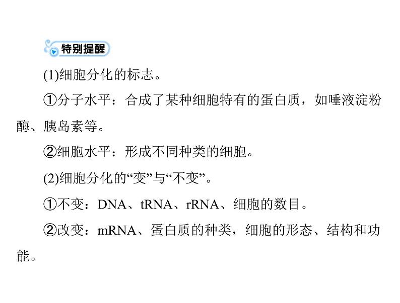 2022年《南方新课堂 高考总复习》生物 必修1 第6章 第2、3、4节 细胞的分化、衰老、凋亡和癌变课件第4页