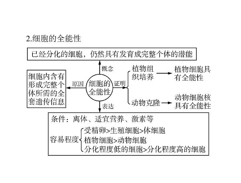 2022年《南方新课堂 高考总复习》生物 必修1 第6章 第2、3、4节 细胞的分化、衰老、凋亡和癌变课件第5页