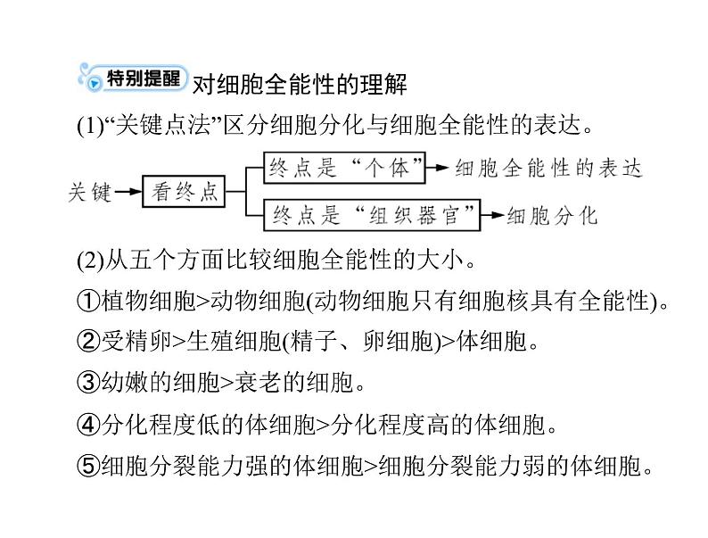 2022年《南方新课堂 高考总复习》生物 必修1 第6章 第2、3、4节 细胞的分化、衰老、凋亡和癌变课件第7页