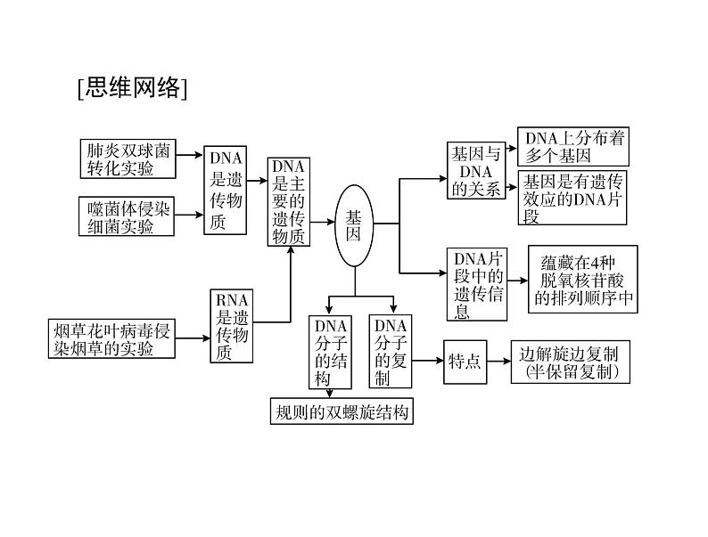 2022年《南方新课堂 高考总复习》生物 必修2 第3章 第1节 DNA是主要的遗传物质课件03