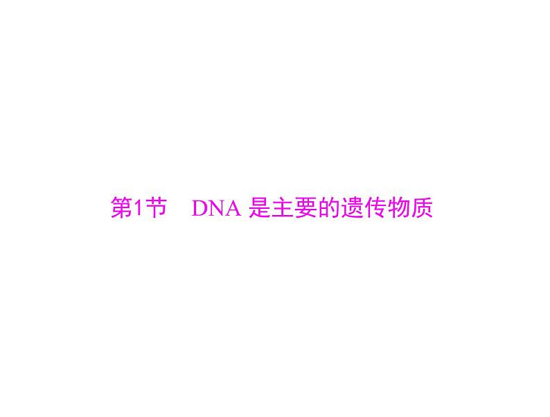 2022年《南方新课堂 高考总复习》生物 必修2 第3章 第1节 DNA是主要的遗传物质课件04