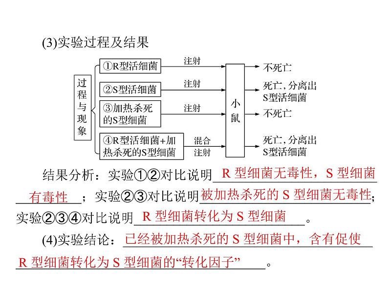 2022年《南方新课堂 高考总复习》生物 必修2 第3章 第1节 DNA是主要的遗传物质课件06