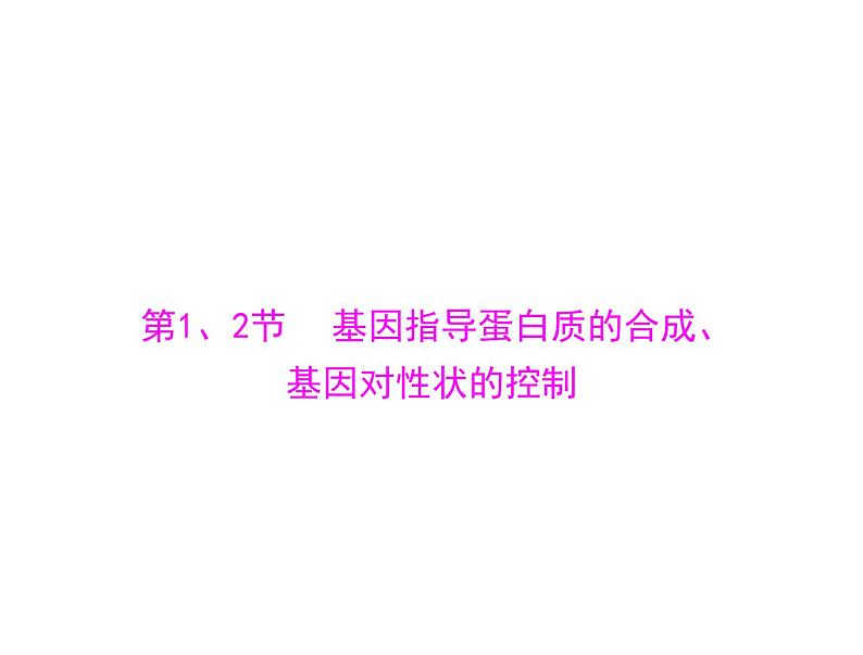 2022年《南方新课堂 高考总复习》生物 必修2 第4章 第1、2节 基因指导蛋白质的合成、基因对性状的控制课件第4页