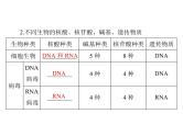 2022年《南方新课堂 高考总复习》生物 必修1 第2章 第3、4节 遗传信息的携带者——核酸、细胞中的糖类和脂质课件