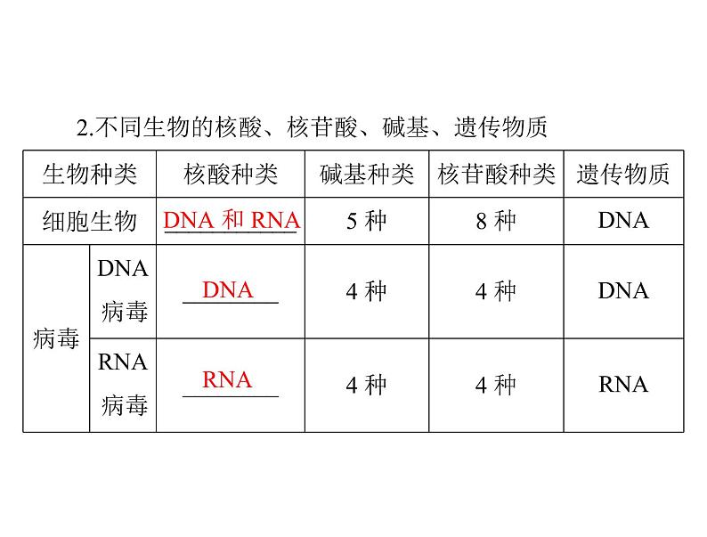 2022年《南方新课堂 高考总复习》生物 必修1 第2章 第3、4节 遗传信息的携带者——核酸、细胞中的糖类和脂质课件第3页