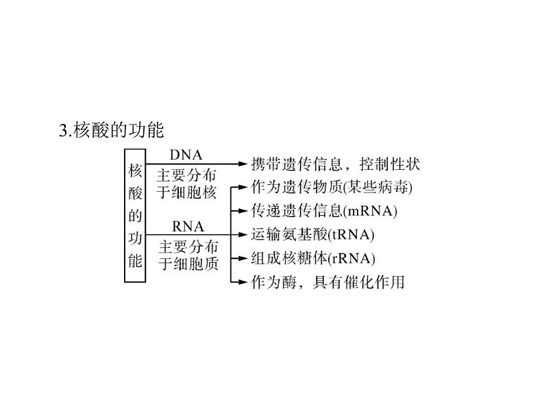 2022年《南方新课堂 高考总复习》生物 必修1 第2章 第3、4节 遗传信息的携带者——核酸、细胞中的糖类和脂质课件第4页