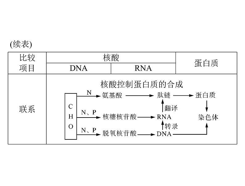 2022年《南方新课堂 高考总复习》生物 必修1 第2章 第3、4节 遗传信息的携带者——核酸、细胞中的糖类和脂质课件第7页