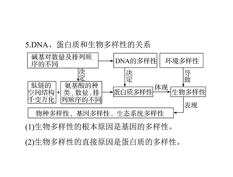 2022年《南方新课堂 高考总复习》生物 必修1 第2章 第3、4节 遗传信息的携带者——核酸、细胞中的糖类和脂质课件第8页