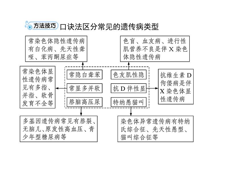 2022年《南方新课堂 高考总复习》生物 必修2 第5章 第3节 人类遗传病课件第6页