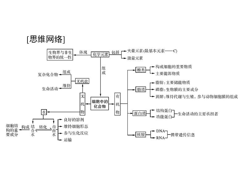 2022年《南方新课堂 高考总复习》生物 必修1 第2章 第1、5节 细胞中的元素和化合物、细胞中的无机物课件第3页