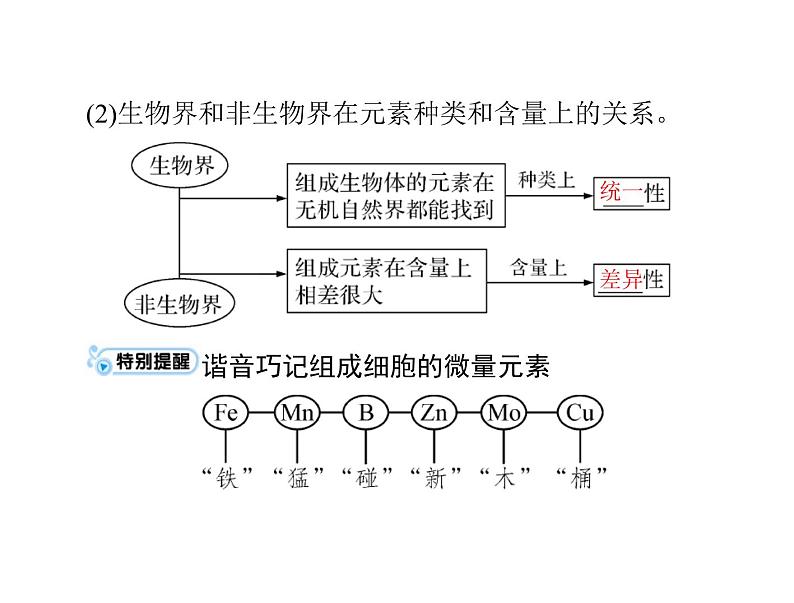 2022年《南方新课堂 高考总复习》生物 必修1 第2章 第1、5节 细胞中的元素和化合物、细胞中的无机物课件第6页