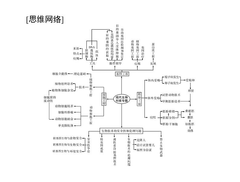 2022年《南方新课堂 高考总复习》生物 选修3 专题1、4 基因工程、生物技术的安全性和伦理问题课件第2页