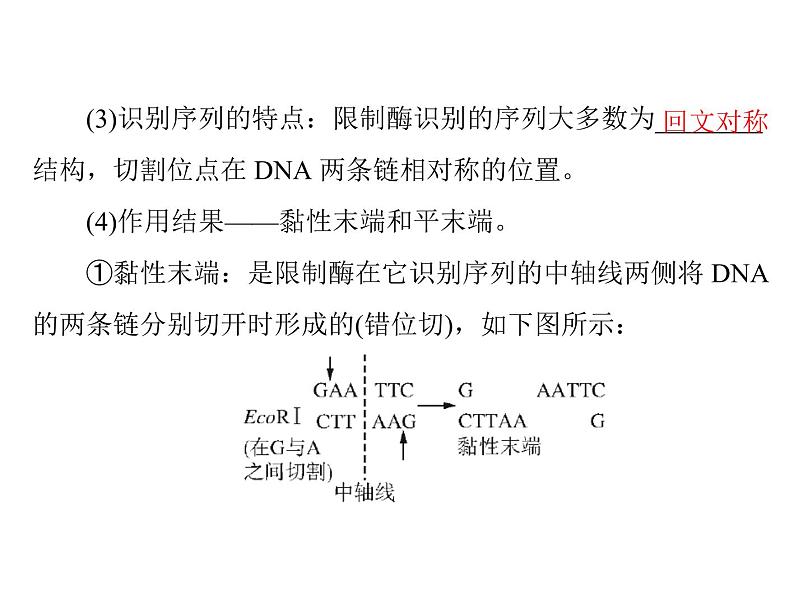 2022年《南方新课堂 高考总复习》生物 选修3 专题1、4 基因工程、生物技术的安全性和伦理问题课件第6页