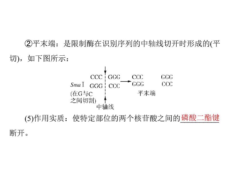 2022年《南方新课堂 高考总复习》生物 选修3 专题1、4 基因工程、生物技术的安全性和伦理问题课件第7页