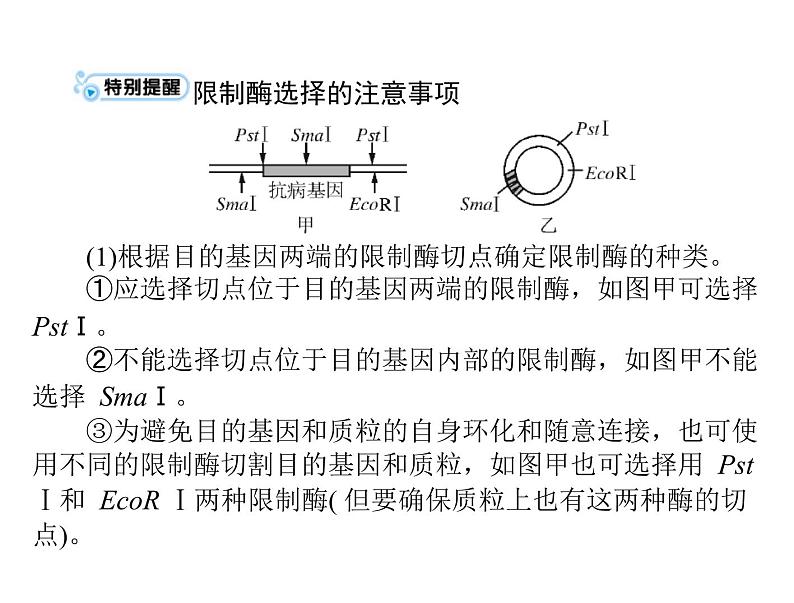 2022年《南方新课堂 高考总复习》生物 选修3 专题1、4 基因工程、生物技术的安全性和伦理问题课件第8页