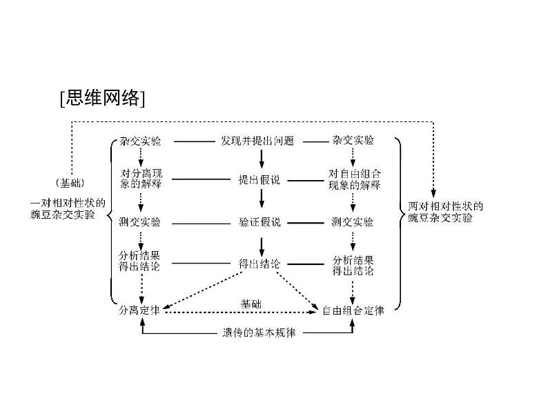 2022年《南方新课堂 高考总复习》生物 必修2 第1章 第1节 孟德尔的豌豆杂交实验(一)课件03