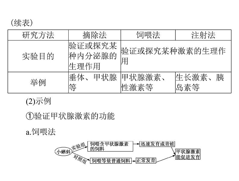 2022年《南方新课堂 高考总复习》生物 必修3 第2章 第2、3节 通过激素的调节、神经调节与体液调节的关系课件04