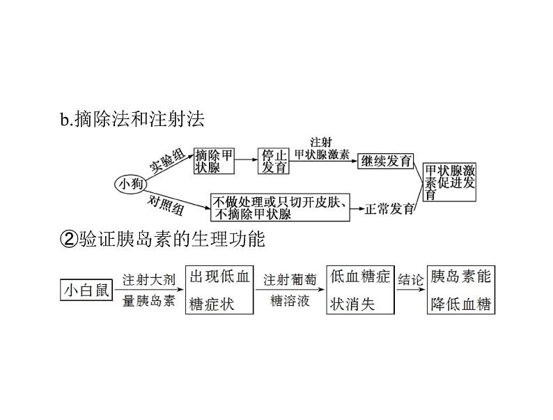 2022年《南方新课堂 高考总复习》生物 必修3 第2章 第2、3节 通过激素的调节、神经调节与体液调节的关系课件05