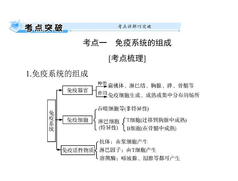 2022年《南方新课堂 高考总复习》生物 必修3 第2章 第4节 免疫调节课件第2页