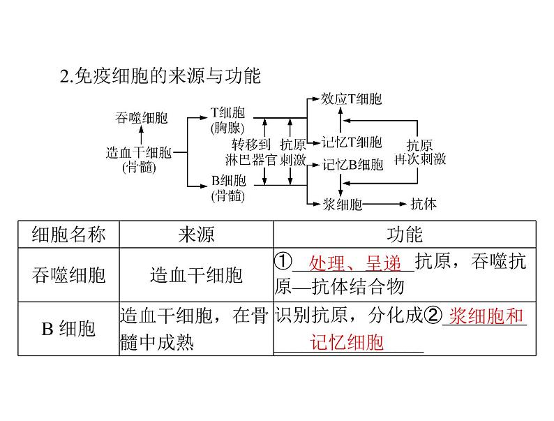 2022年《南方新课堂 高考总复习》生物 必修3 第2章 第4节 免疫调节课件第3页