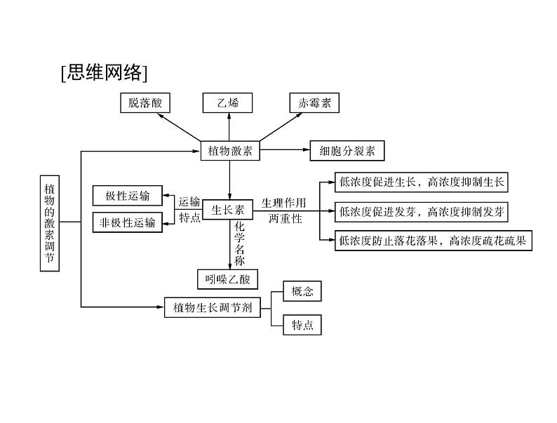 2022年《南方新课堂 高考总复习》生物必修3 第3章 第1、2、3节 植物生长素的发现、生长素的生理作用及其他植物激素课件03