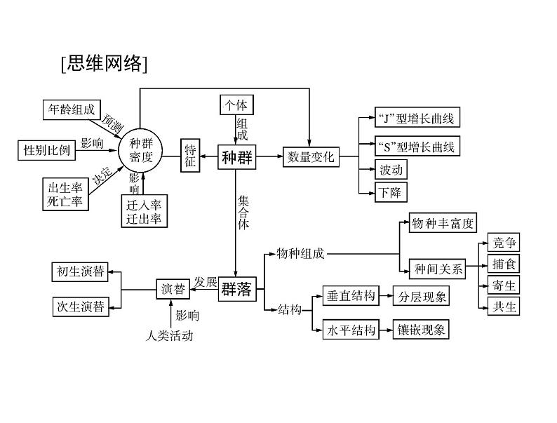 2022年《南方新课堂 高考总复习》生物 必修3 第4章 第1、2节 种群的特征、种群数量的变化课件第3页