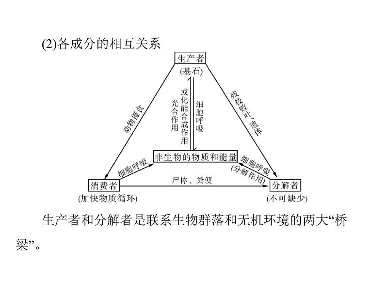 2022年《南方新课堂 高考总复习》生物 必修3 第5章 第1节 生态系统的结构课件08