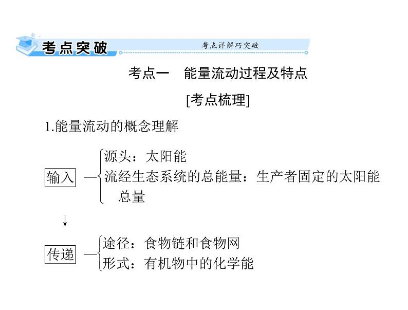 2022年《南方新课堂 高考总复习》生物 必修3 第5章 第2、3节 生态系统的能量流动和物质循环课件第2页