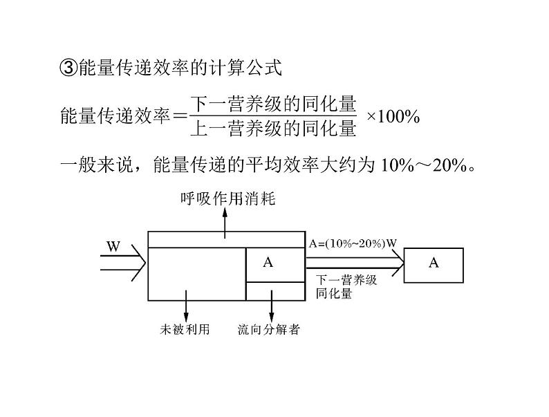 2022年《南方新课堂 高考总复习》生物 必修3 第5章 第2、3节 生态系统的能量流动和物质循环课件第6页