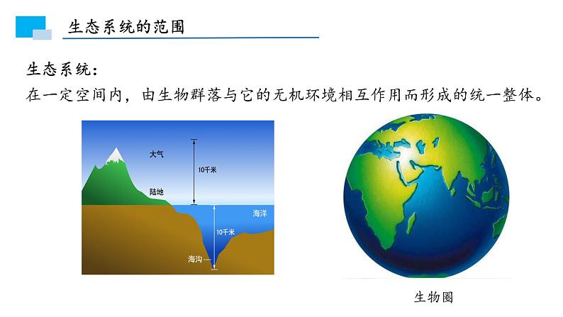 3.1生态系统的结构课件PPT第4页