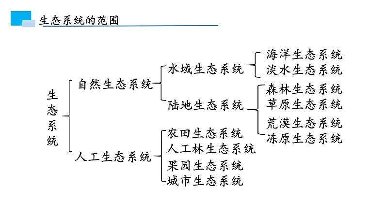 3.1生态系统的结构课件PPT第6页