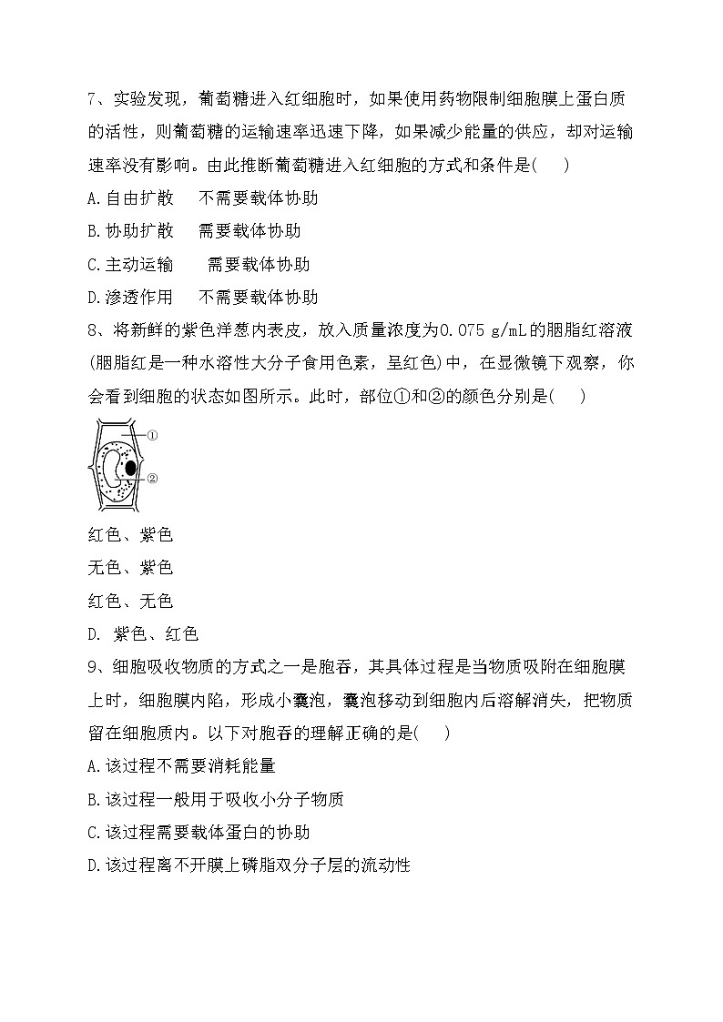 《细胞的物质输入和输出》同步训练（附答案及解析）02